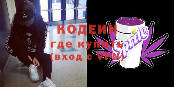 дмт Краснослободск