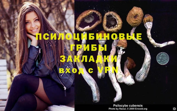 прущие крисы Костерёво