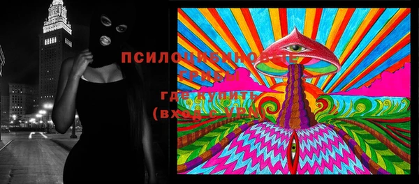 дурь Коряжма