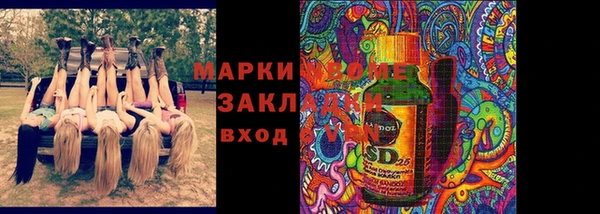дмт Краснослободск