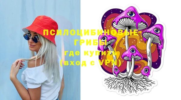 дурь Коряжма