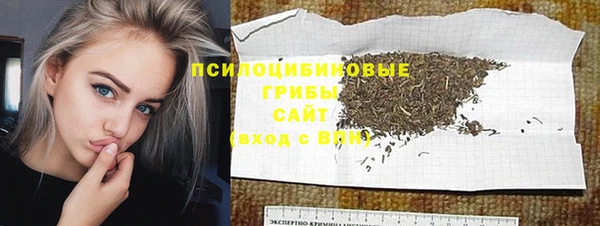 дурь Коряжма