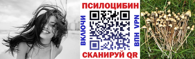 Галлюциногенные грибы мухоморы  закладка  Старица 